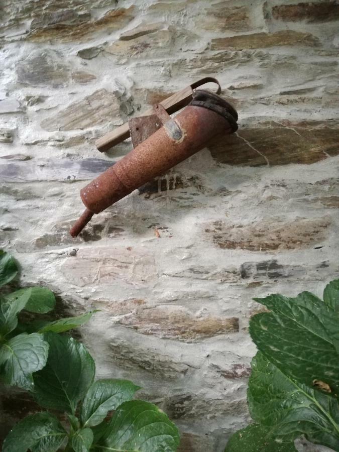 O Ze Ja Dormiu Aqui Villa Celeiros Buitenkant foto