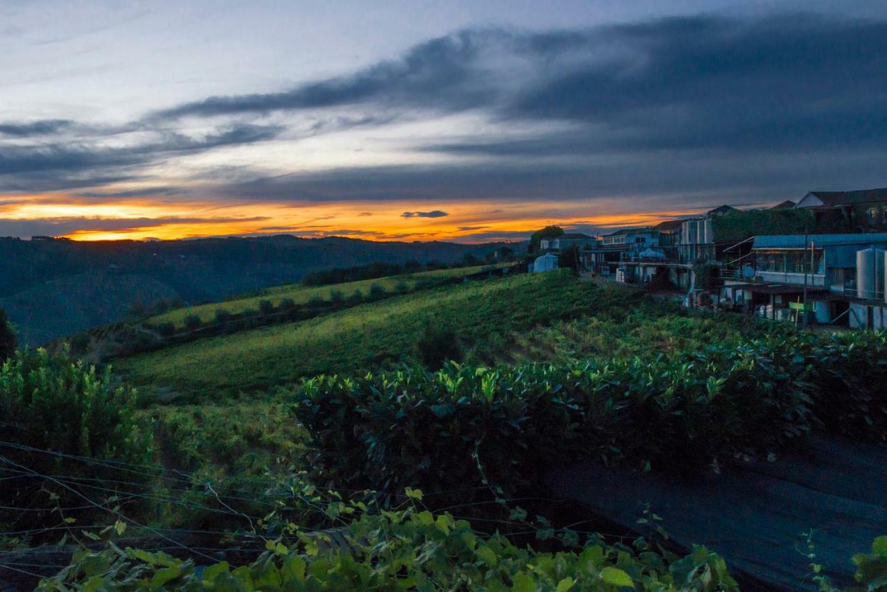 O Ze Ja Dormiu Aqui Villa Celeiros Buitenkant foto