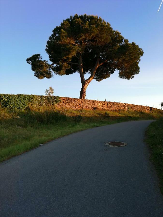 O Ze Ja Dormiu Aqui Villa Celeiros Buitenkant foto
